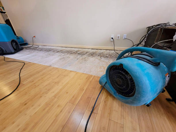 Professional Sewage Cleanup technician working in Hialeah, FL